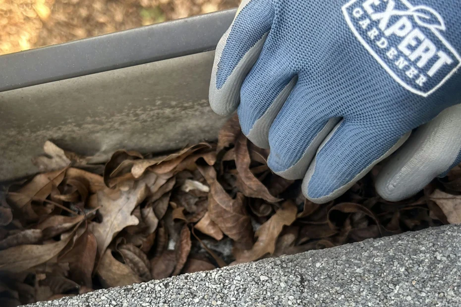 Gutter Cleaning Boynton Beach FL